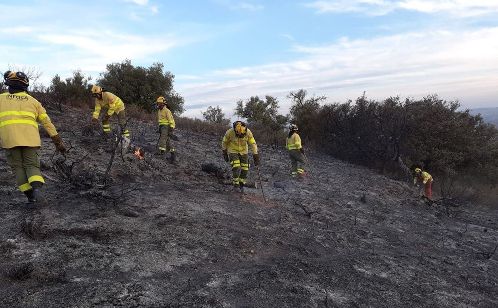 Bomberos del Infoca trabajan en la extinción de un incendio forestal en Olvera en verano del año pasado.