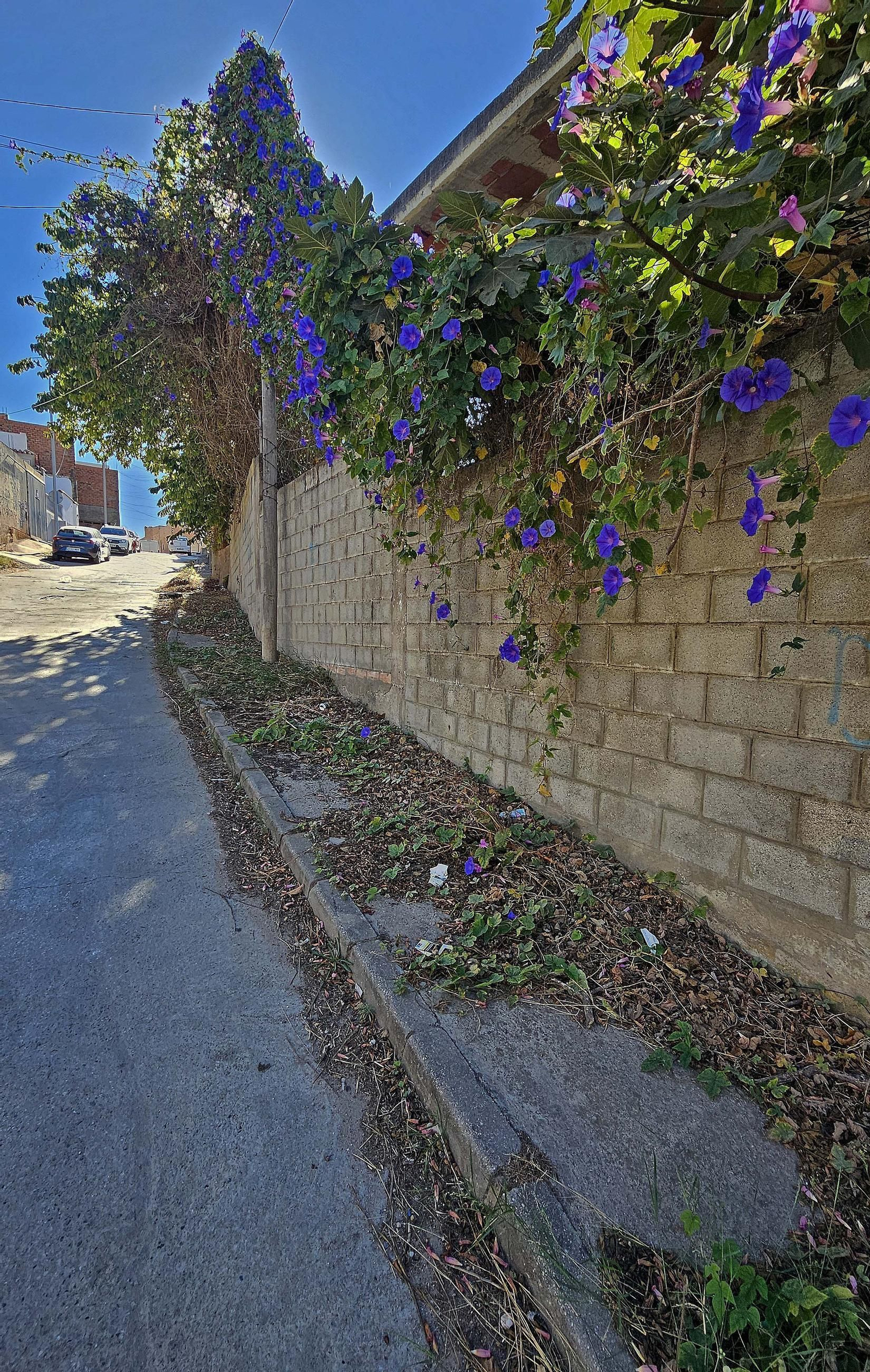 Fotos de los desperfectos de la barriada de La Capelina en Algeciras