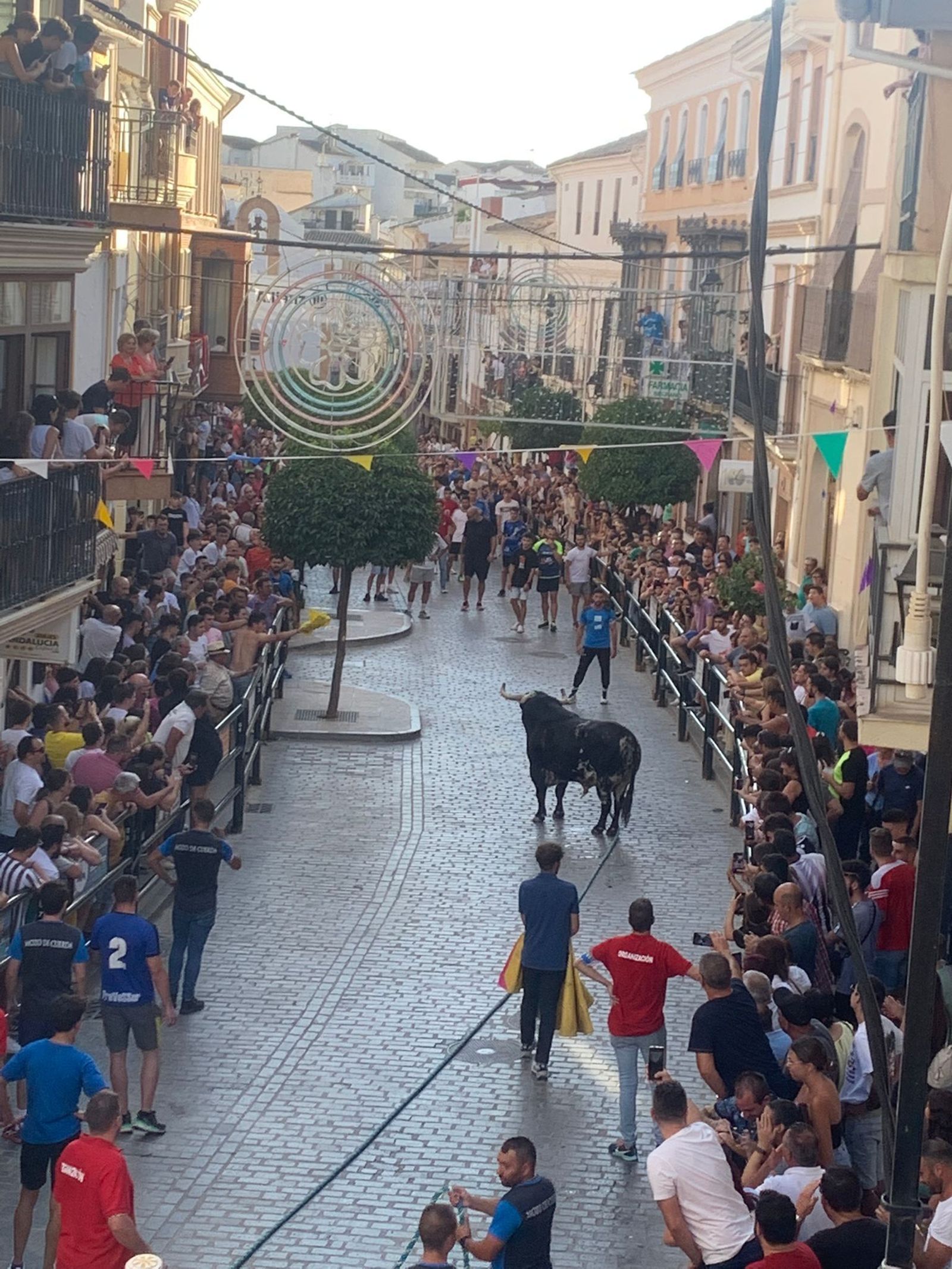 Suelta de la tarde, con la calle atestada de gente.