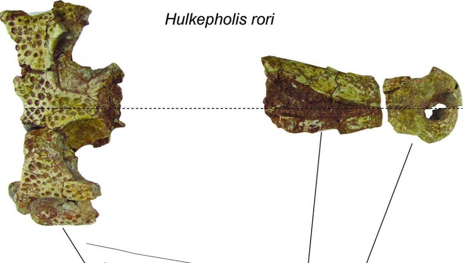 Los restos encontrados