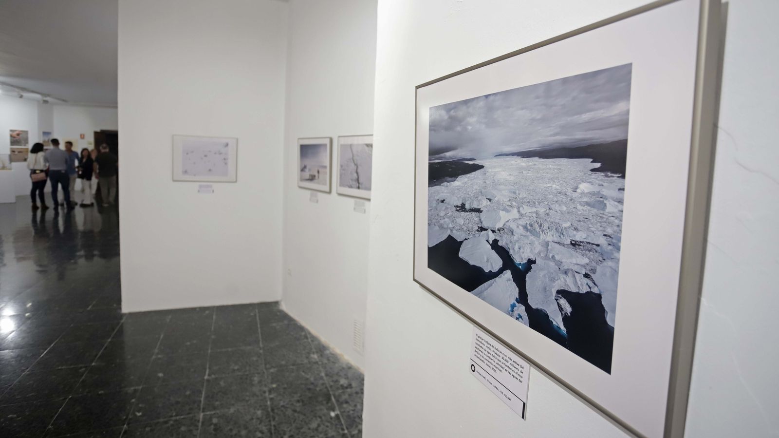 Fotos de las exposiciones de la Galería Manolo Ales en La Línea
