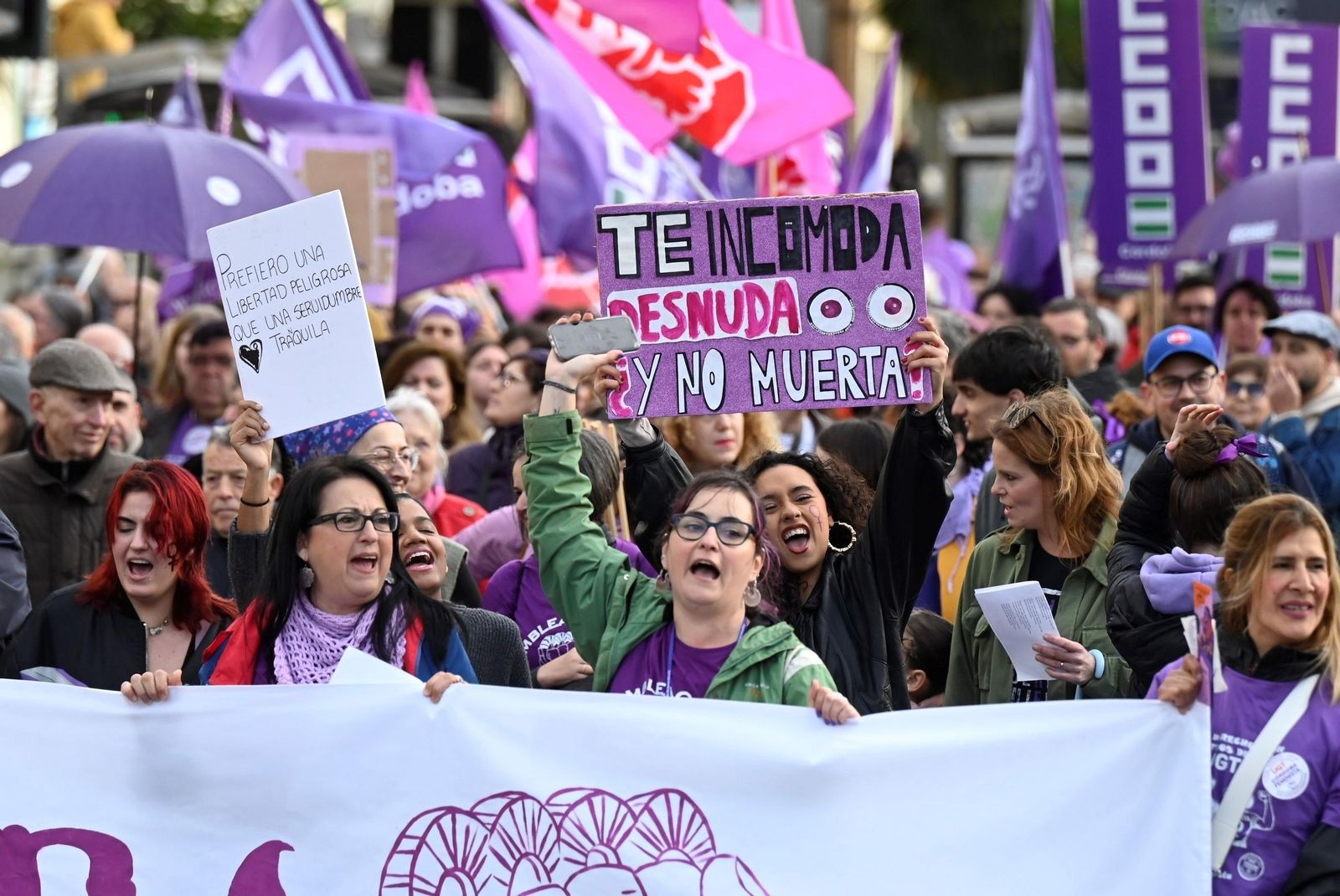 La manifestación del 8M en Córdoba, en imágenes