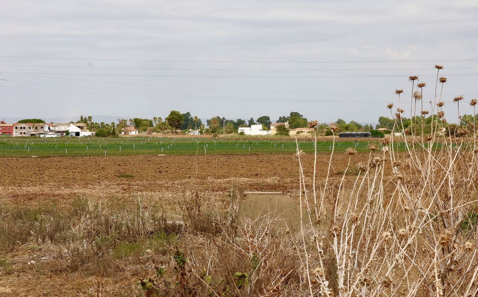 Estado actual de los suelos de San Nicolás Este.
