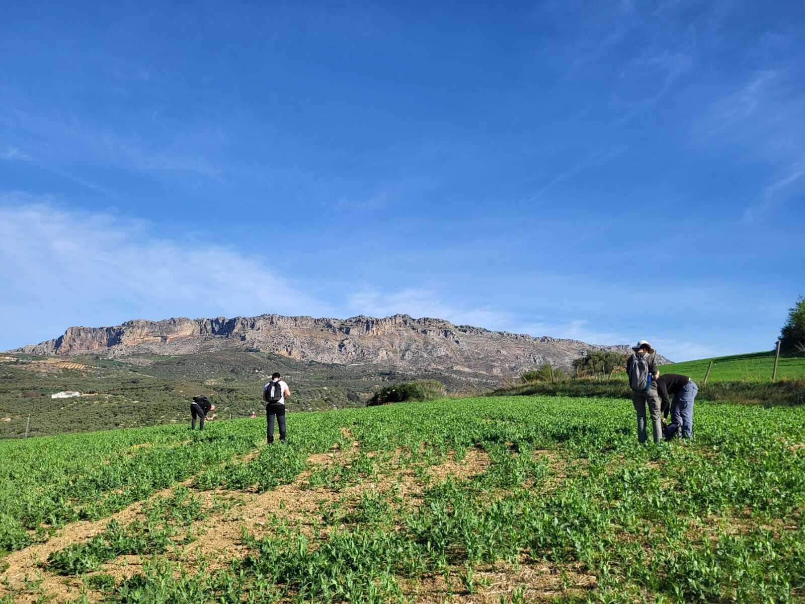 Trabajos de exploración sobre el terreno.
