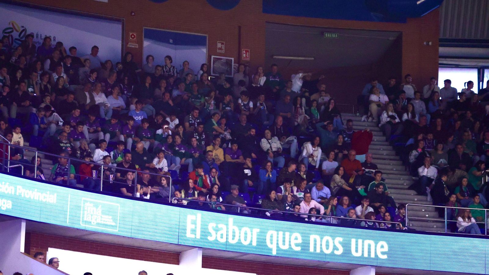 Búscate en las gradas del Carpena en el Unicaja-Breogán