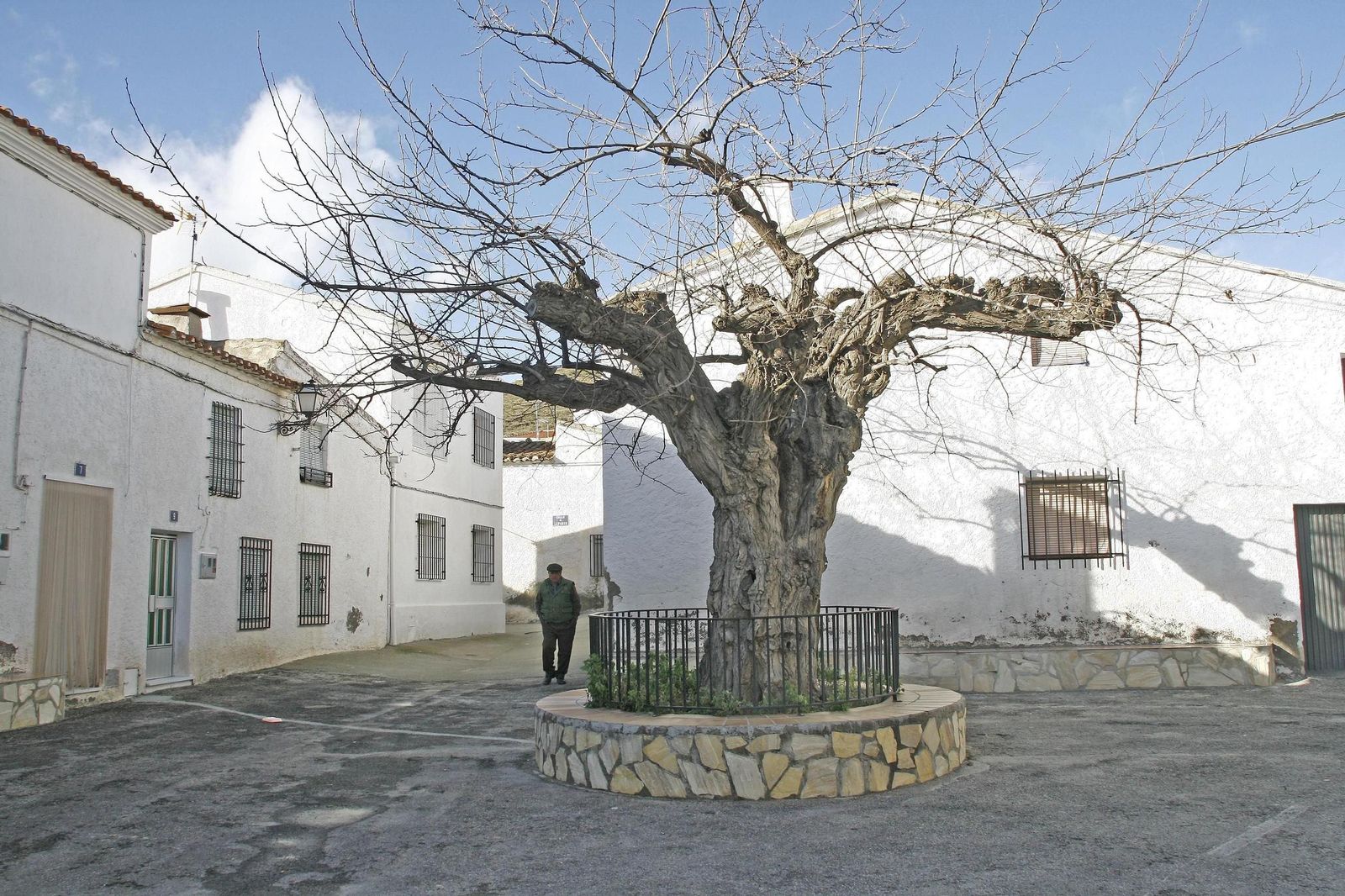 Con el teletrabajo, cada vez son más los que eligen dejar las ciudades