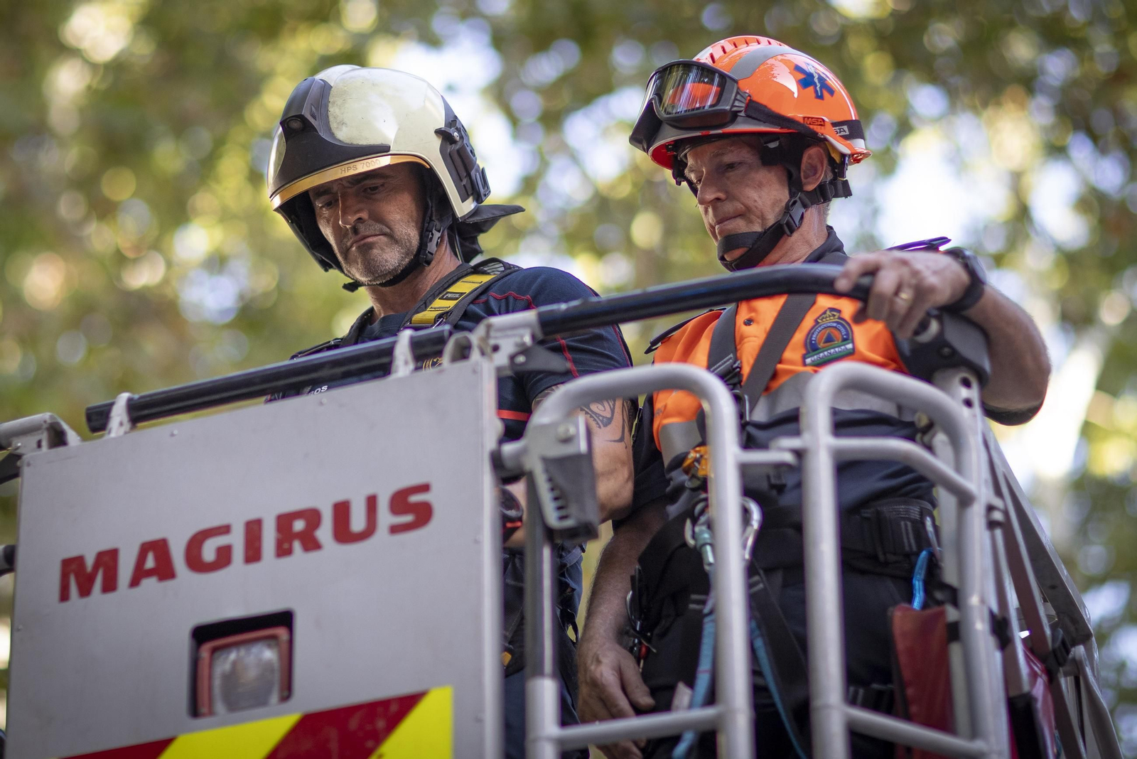 La ofrenda floral a la Virgen de las Angustias, patrona de Granada, en imágenes