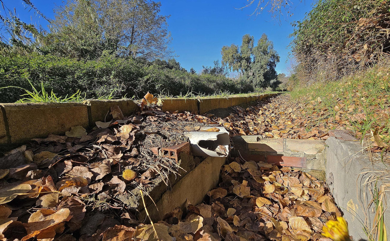 Fotos de los desperfectos en el sendero del parque fluvial del río Pícaro en Algeciras