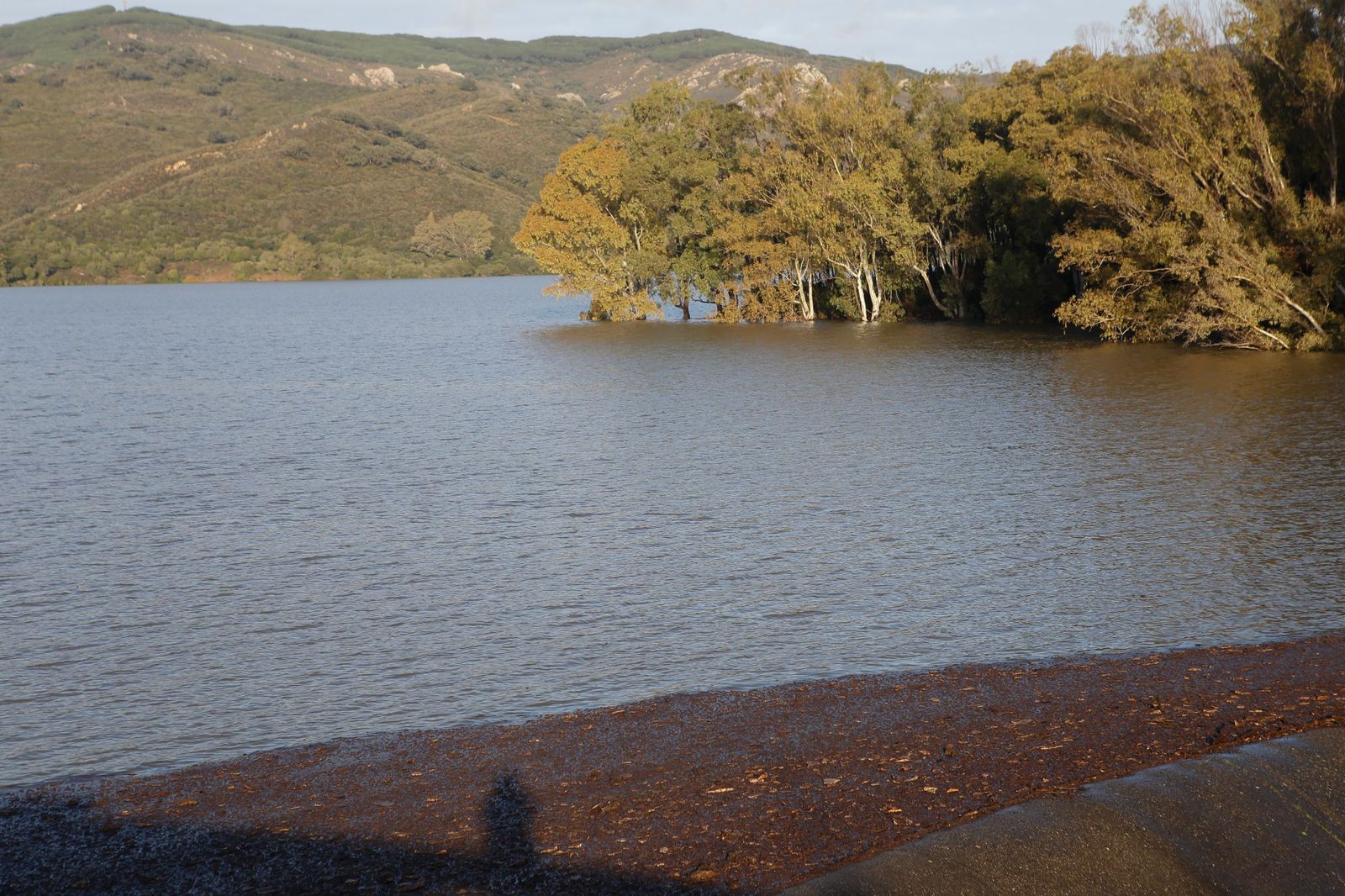 Las fotografías del embalse de Guadarranque este Día de Reyes