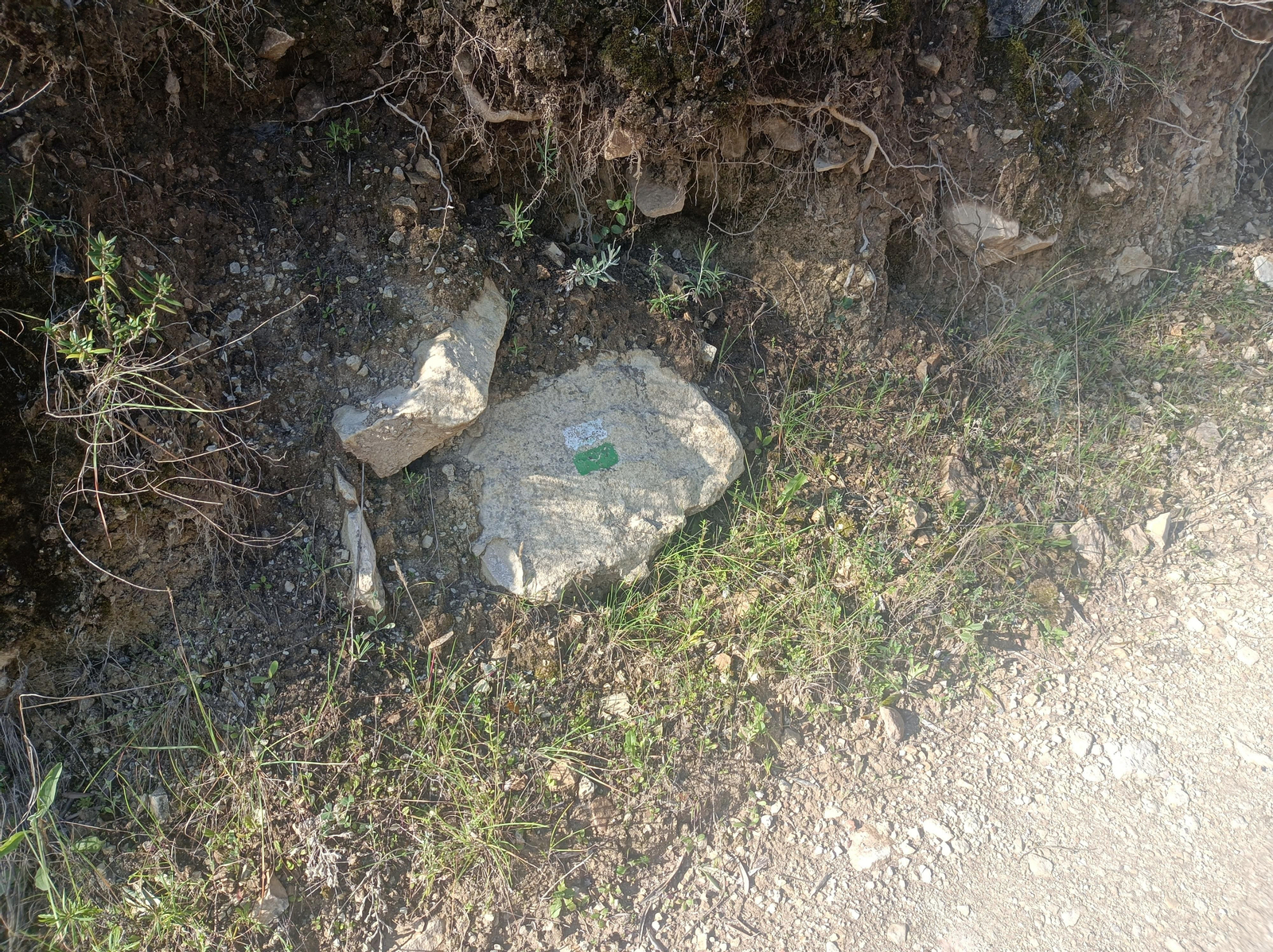 Las señales blancas y verdes que marcan el sendero.