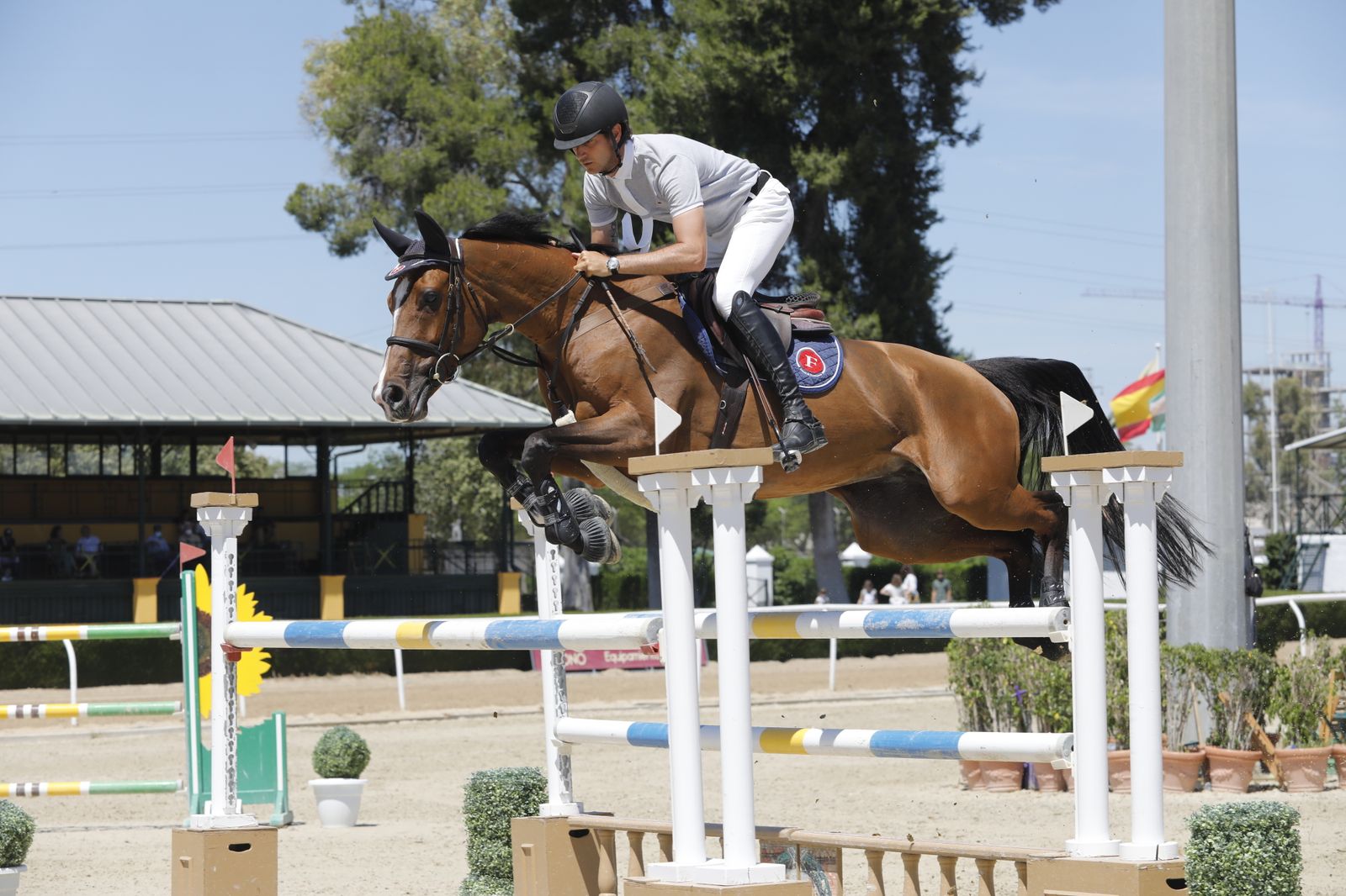 Carlos López-Fanjul, con Ashaane Villa Rose, vencedor del GP de la Ruta de Otoño.