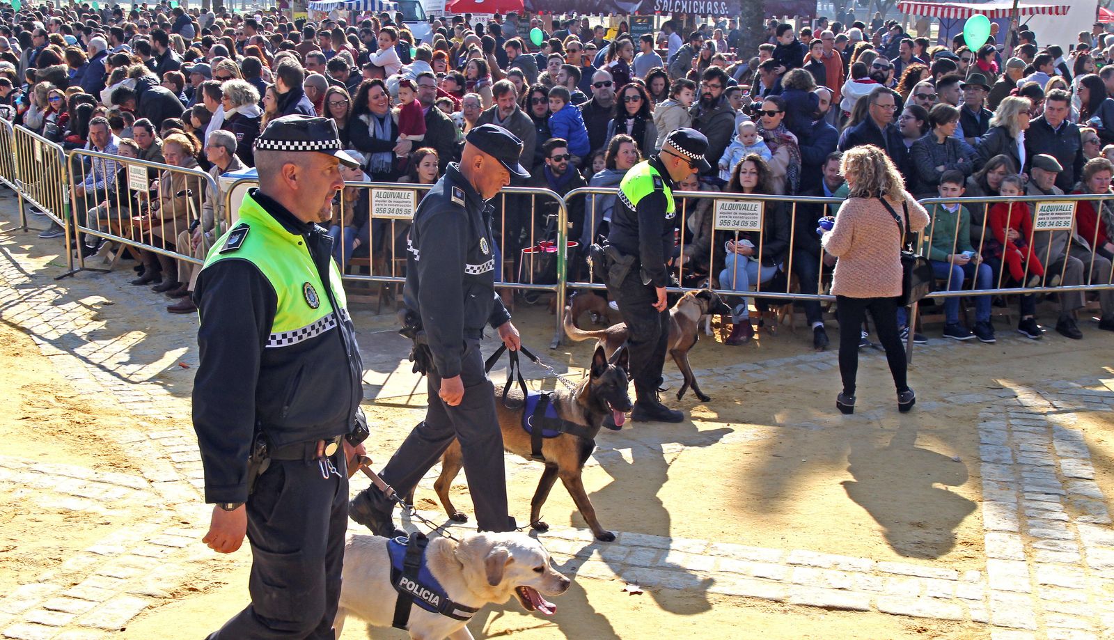 Las imágenes de San Antón