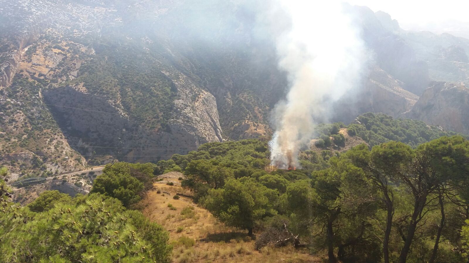 Imagen del incendio durante la mañana.