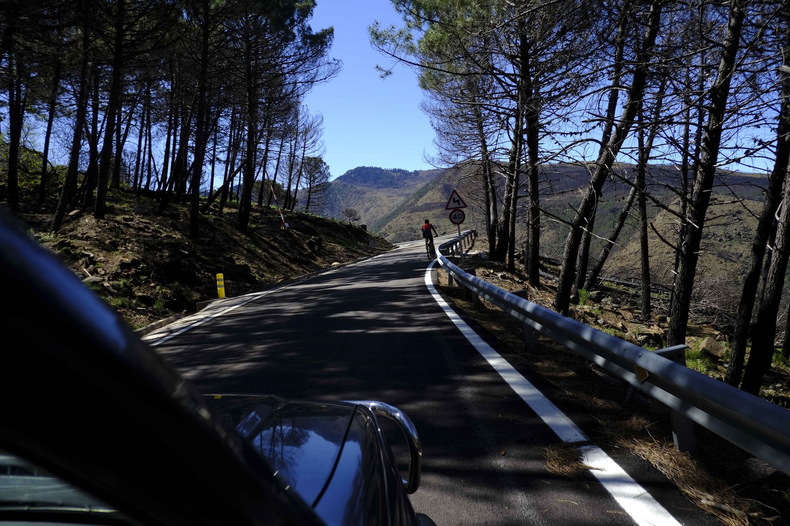 Así se recupera Sierra Bermeja tras el incendio (fotos)