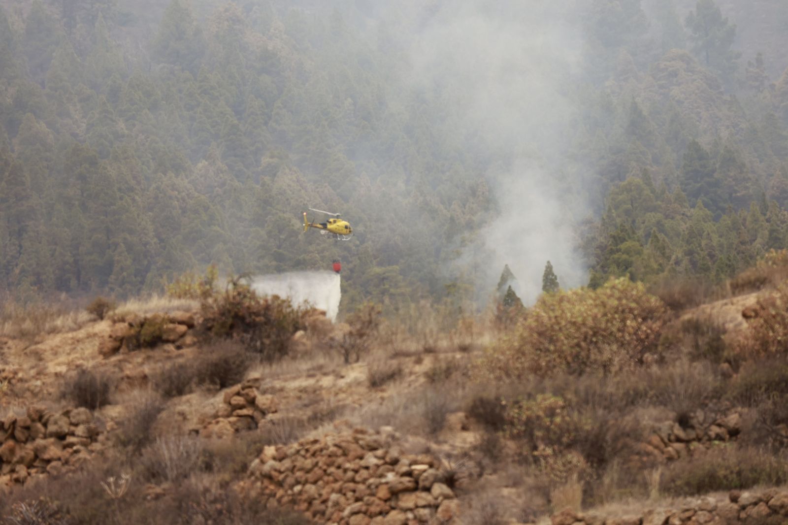 Labores de extinción del incendio en Tenerife