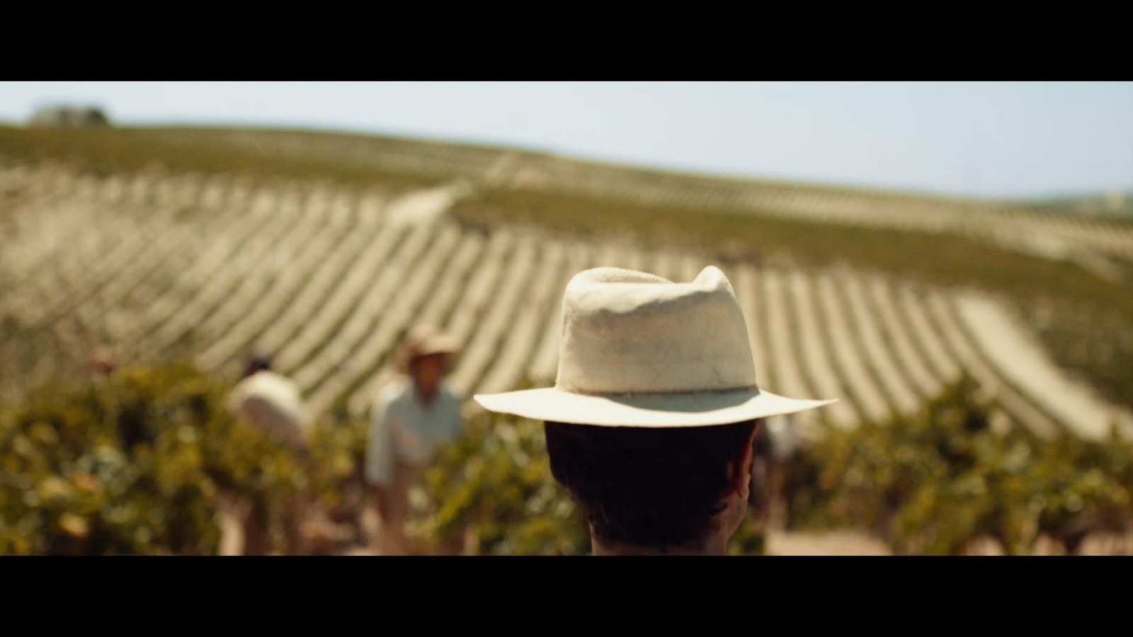 Tráiler de 'El verano que vivimos'.