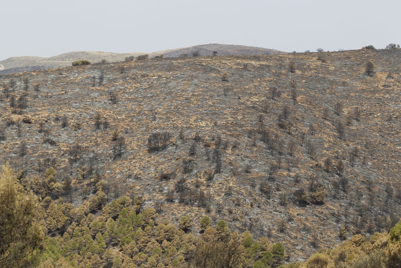 Fotogalería incendio extinguido Sierra de Gádor