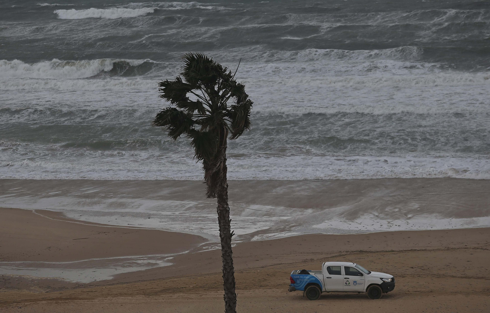 Fotos de los efectos del temporal de viento en Algeciras