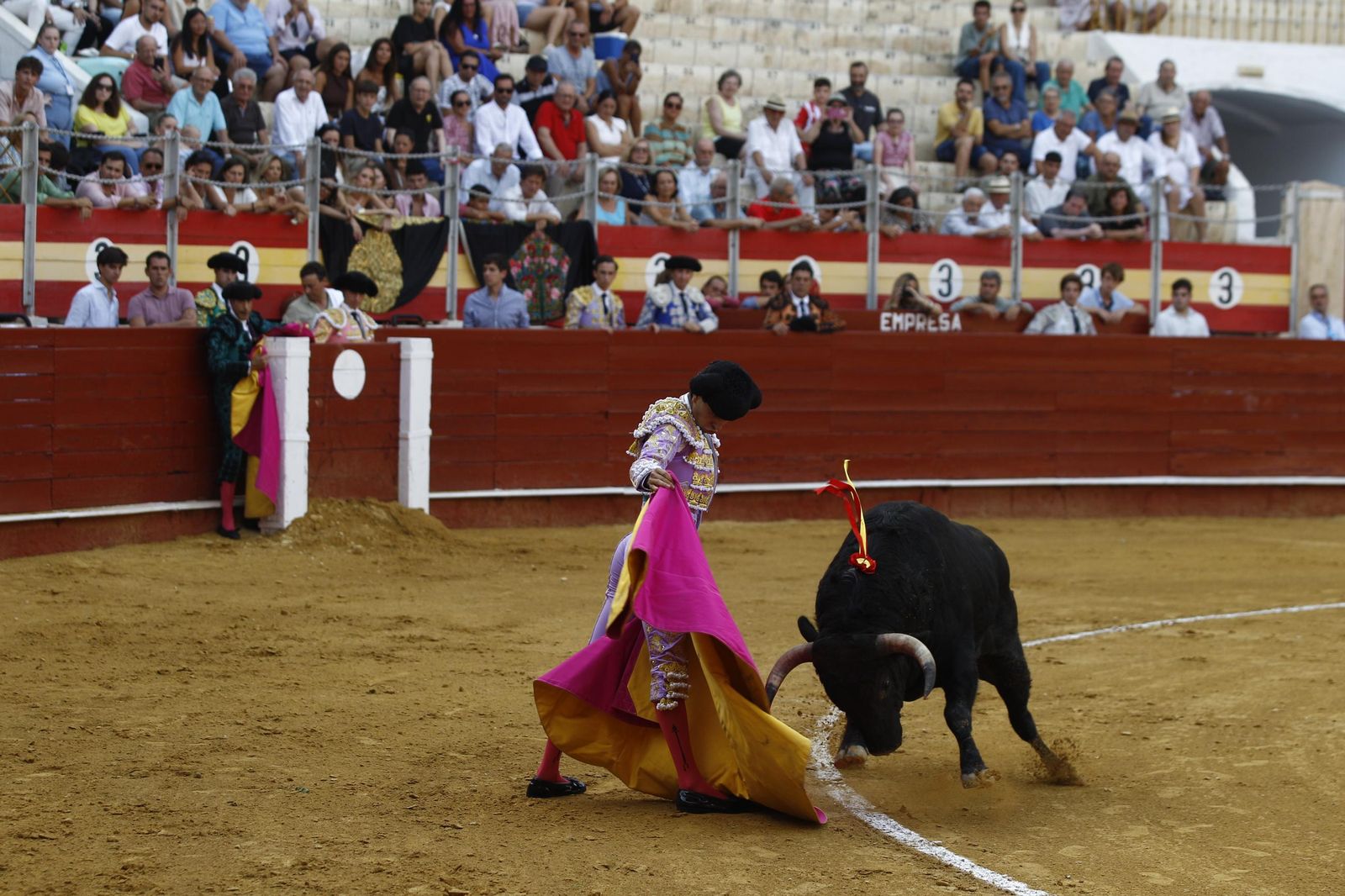 Imágenes de la novillada de la Feria de Almería 2025