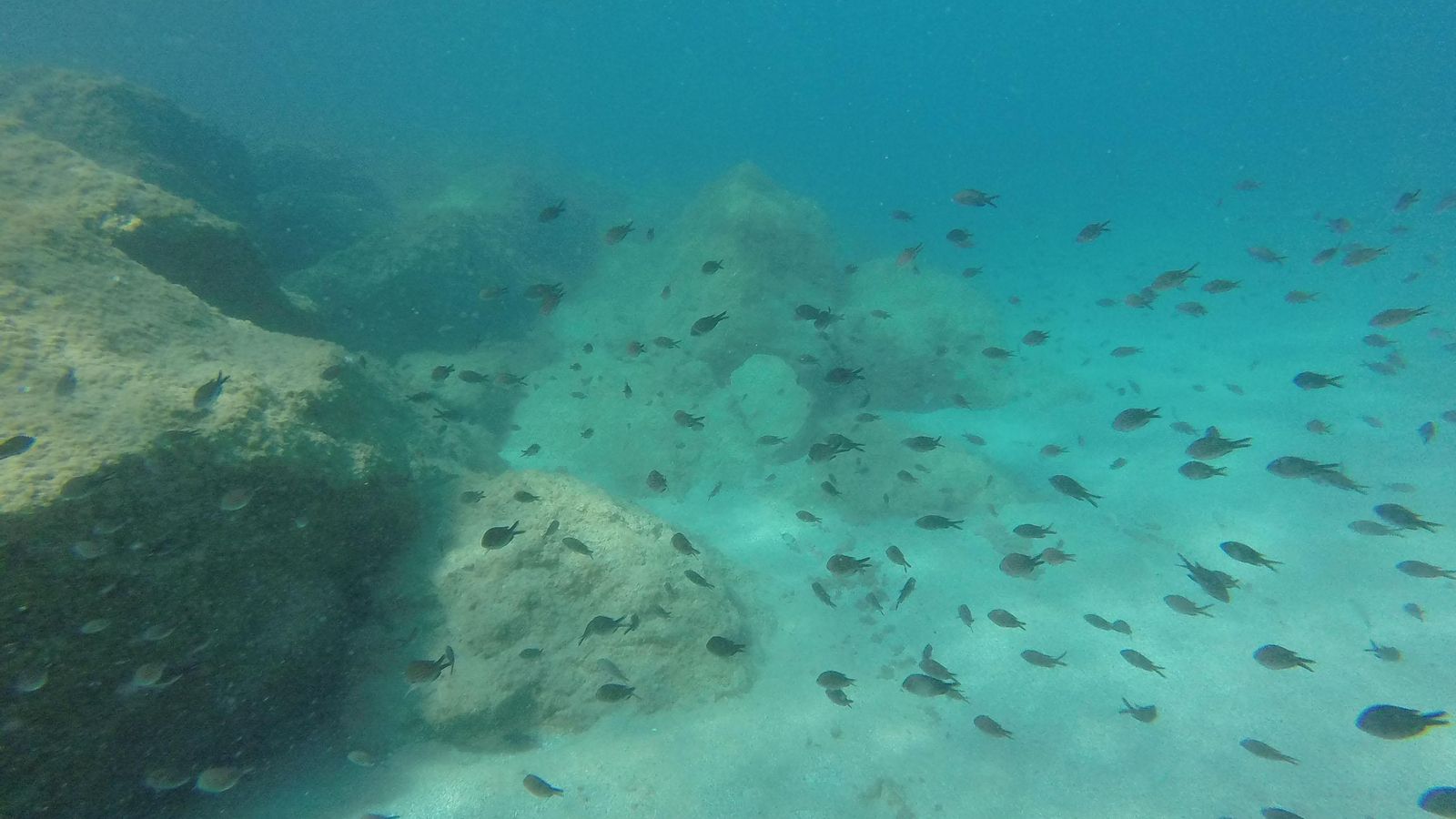 L’Ametlla de Mar, en la costa de Tarragona, es uno de los lugares más especiales de España