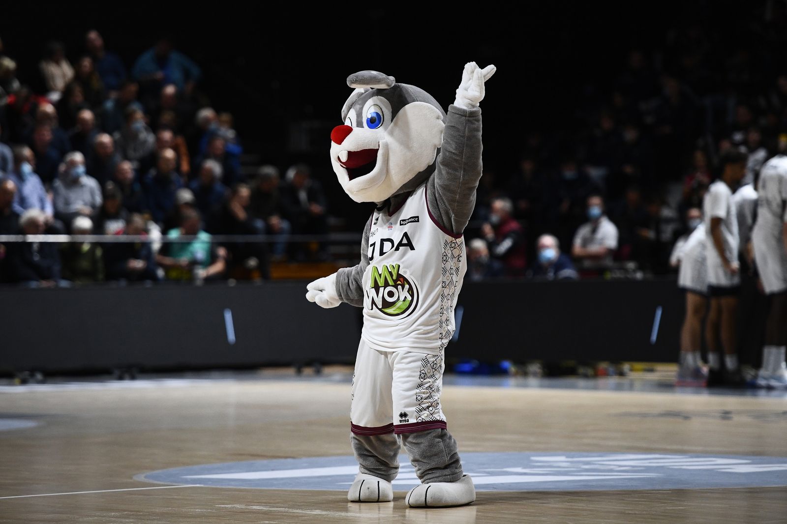 El Dijon-Unicaja, en fotos