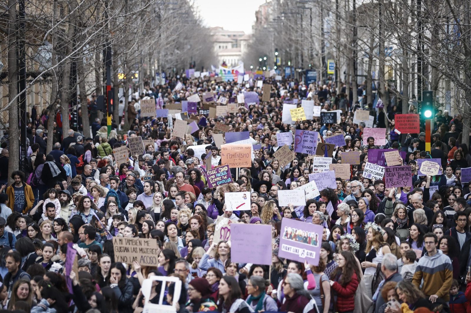 Una ola morada inunda la avenida principal de Granada en el Día de la Mujer