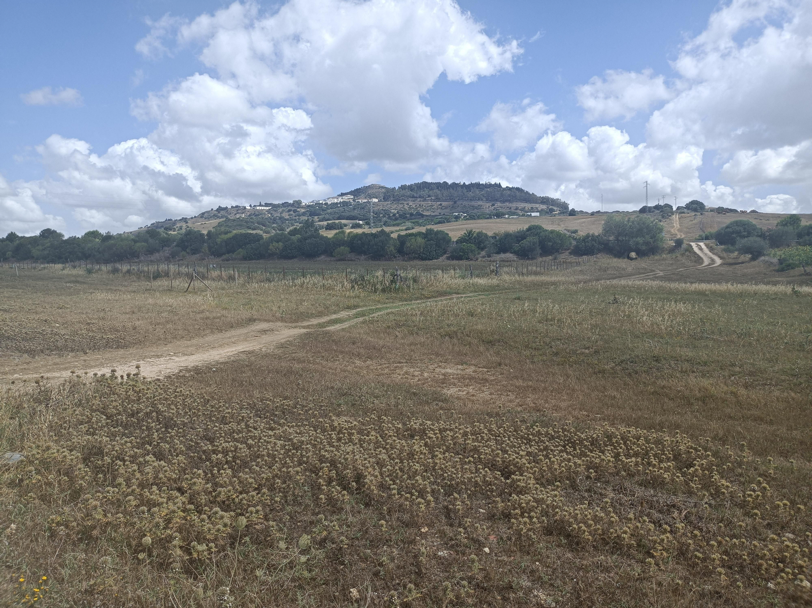 Para llegar a Medina Sidonia hay que subir.