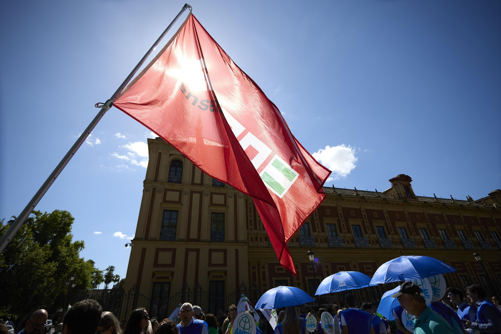 Las imágenes de la manifestación de docentes