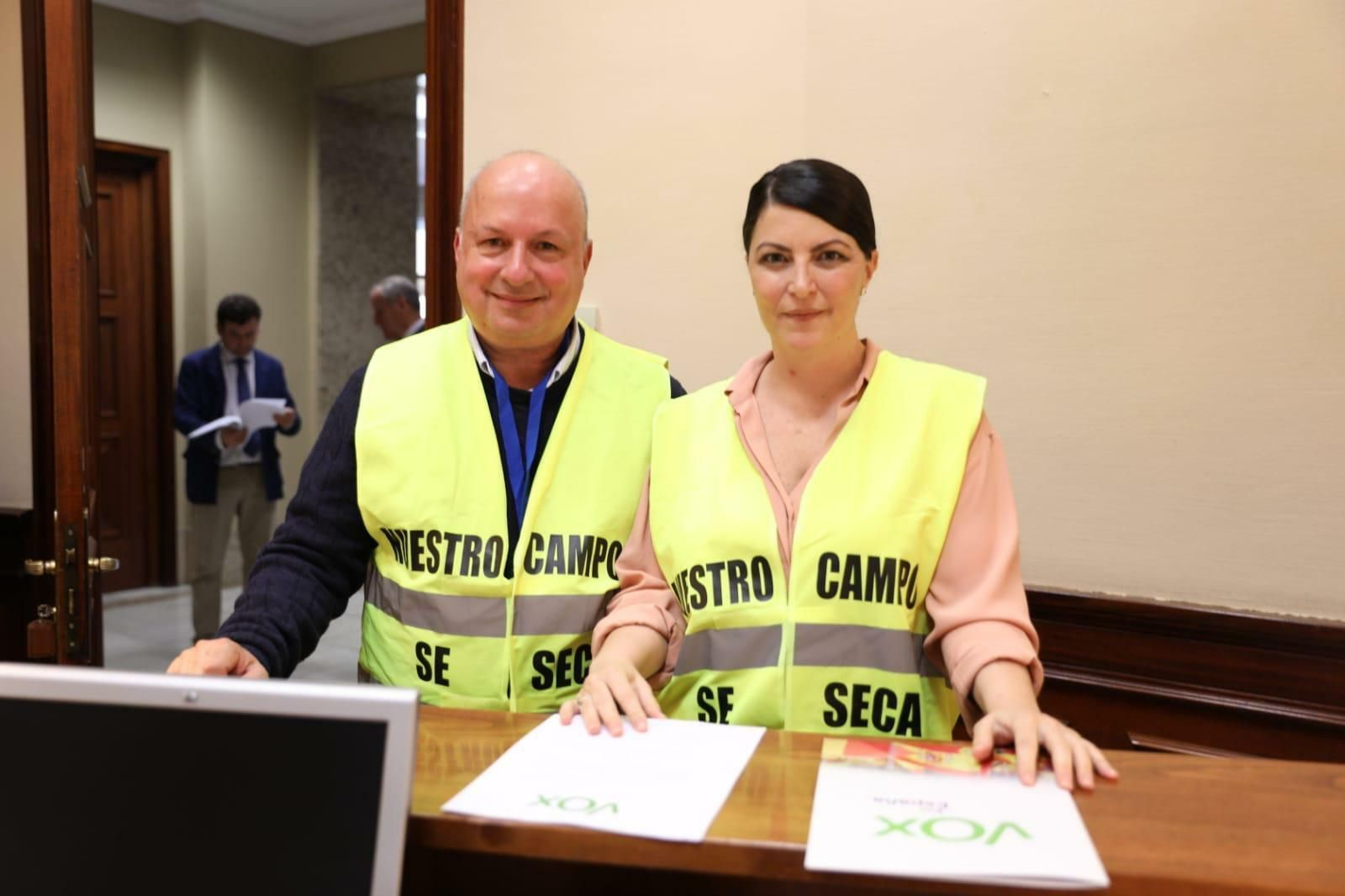 Macarena Olona (Vox) pide en el Congreso ayudas estatales para la línea Motril-Melilla