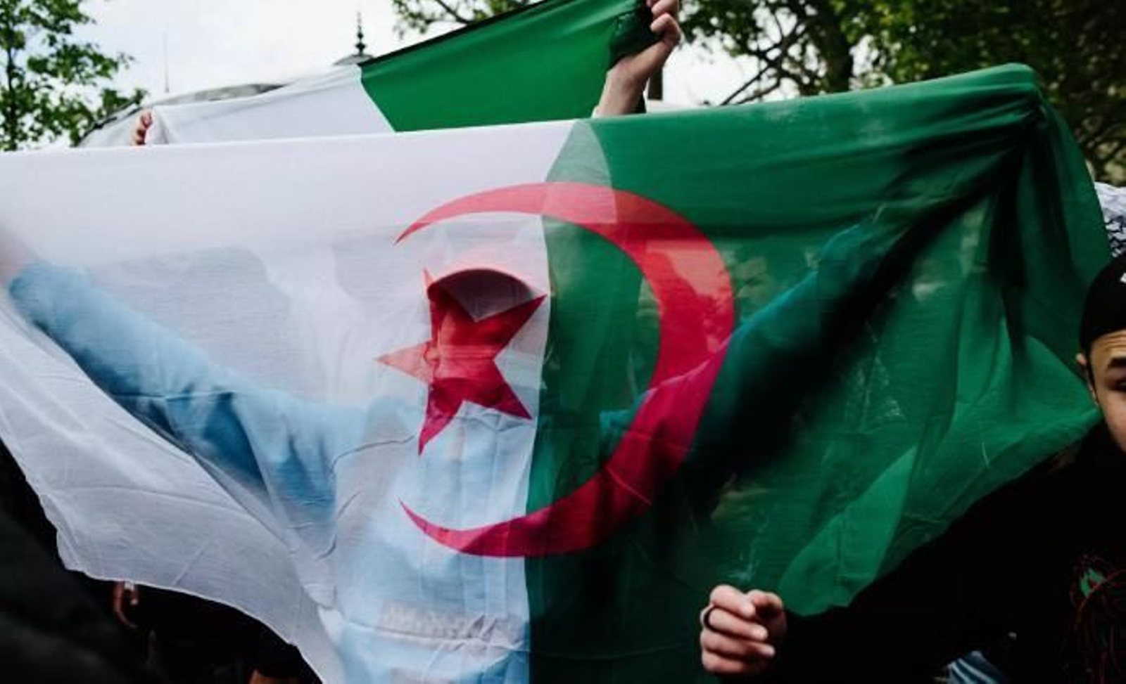 Gente mostrando una bandera de Argelia