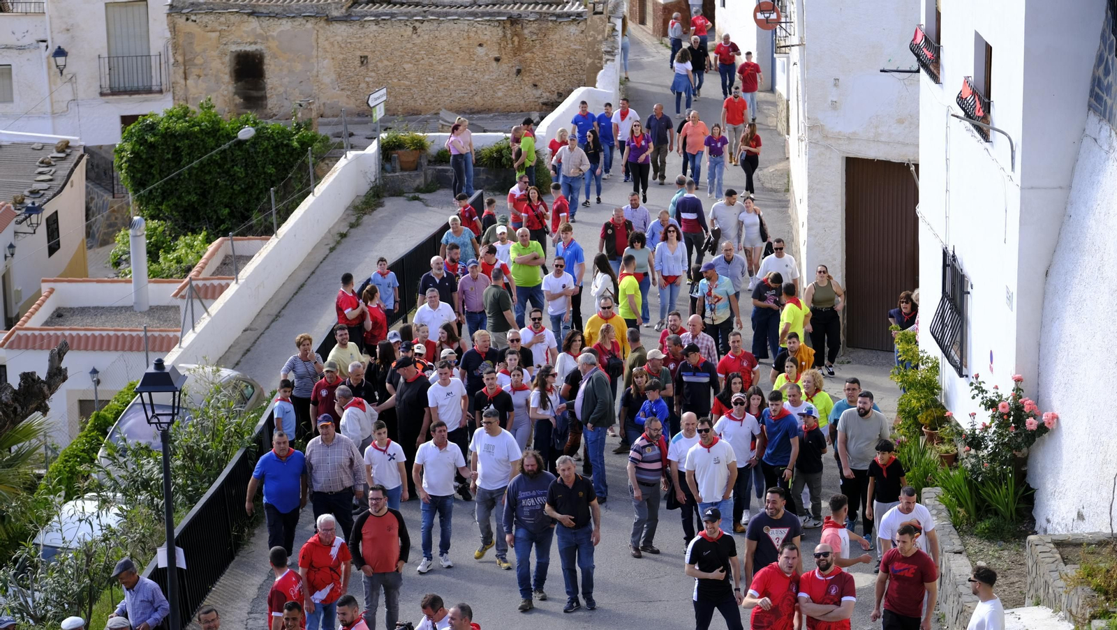 Los toros ensogados de Ohanes, en imágenes