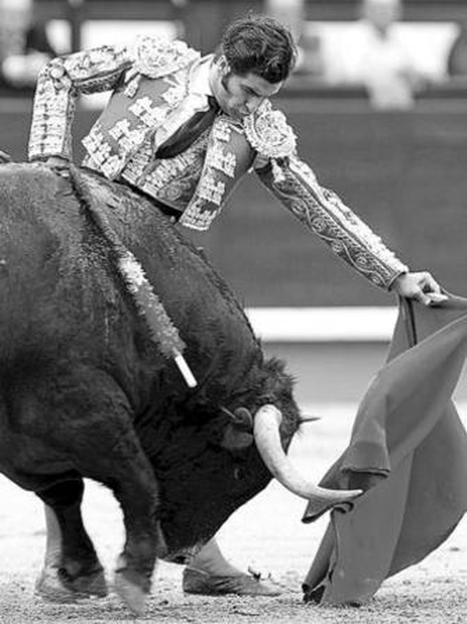 Morante de la Puebla toreando al natural al toro que le cortó la oreja.