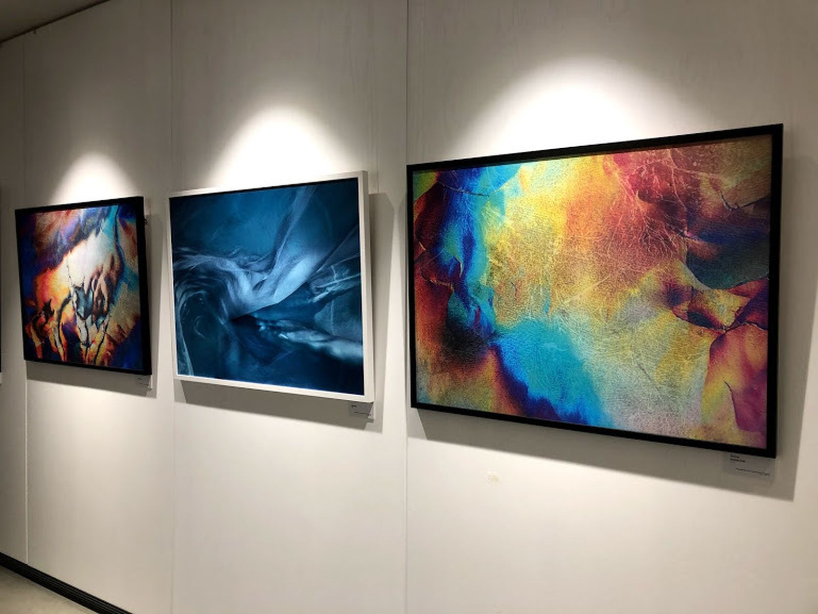 Algunas de las obras fotográficas de ‘Inmerso’.