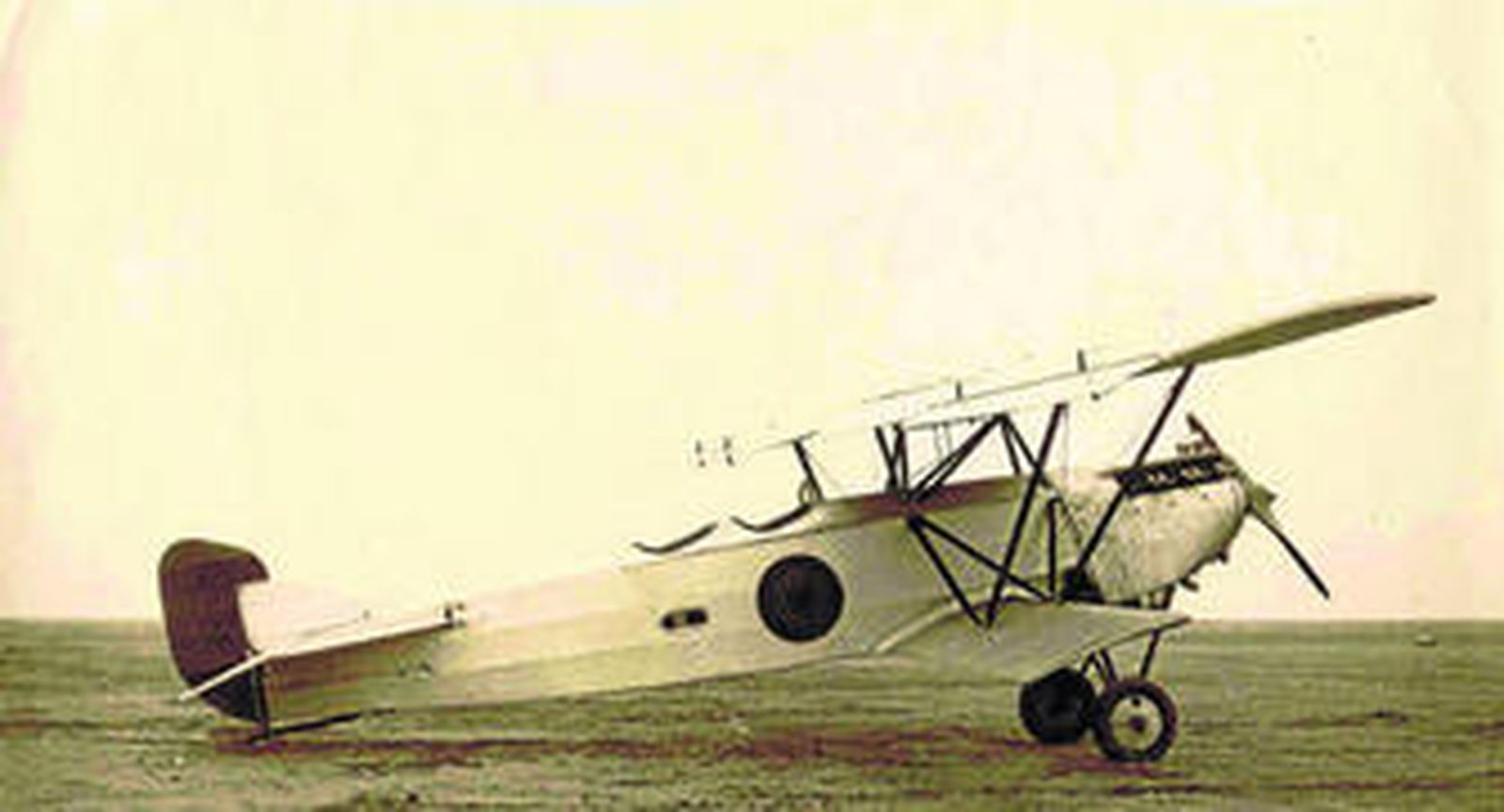 Tras la quimera de Jorge Loring