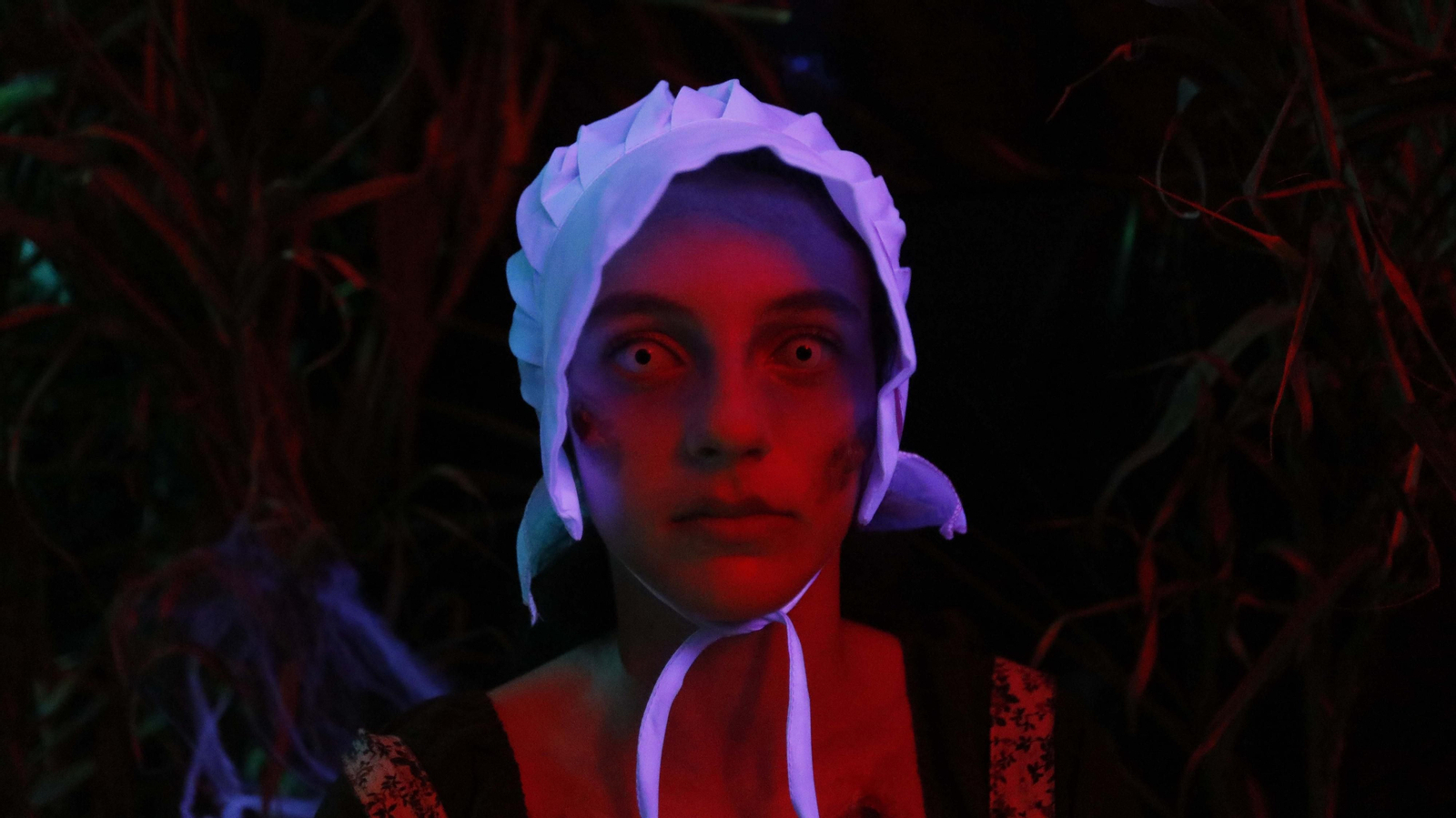 La noche de Halloween en la casa del terror