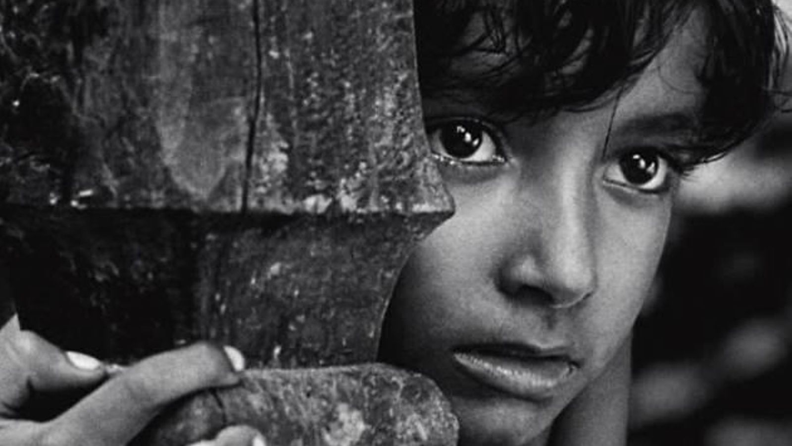 La calidez y poética de sus imágenes emociona profundamente.