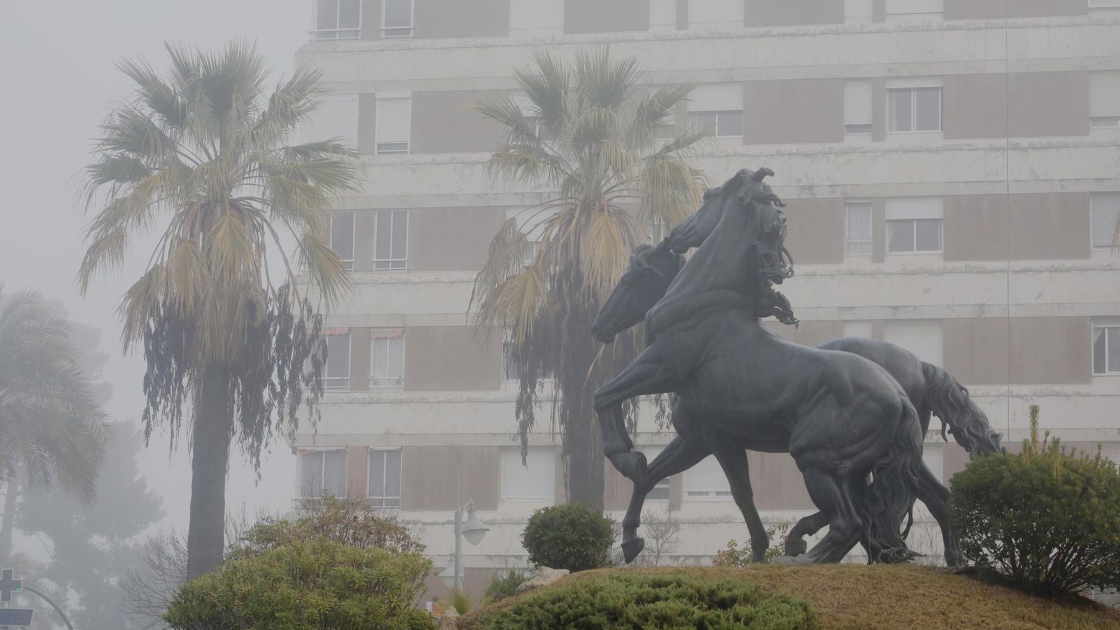 Niebla en la plaza del Caballo este viernes.