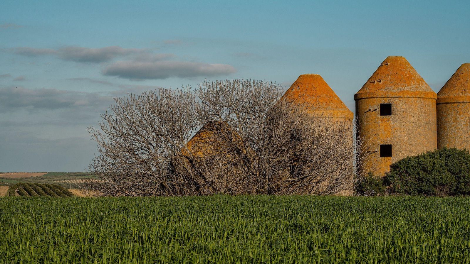 Ruedo de Beas. Silos del Cortijo Ruedo de Beas. Silos del Cortijo