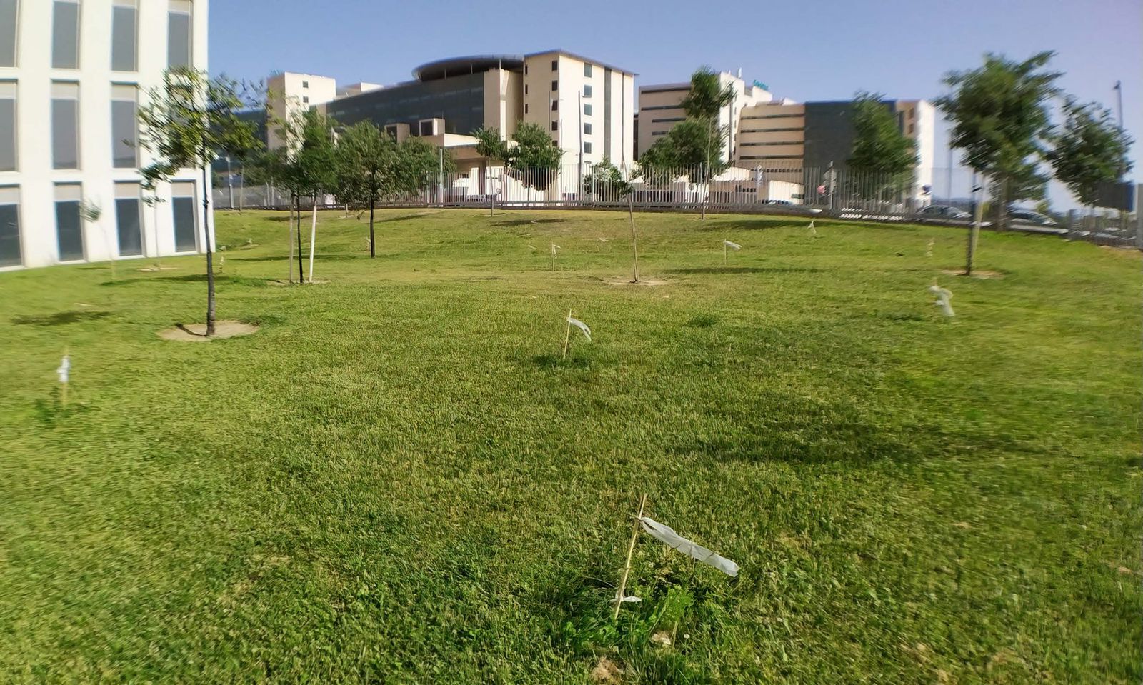 Imagen facilitada por la UGR.