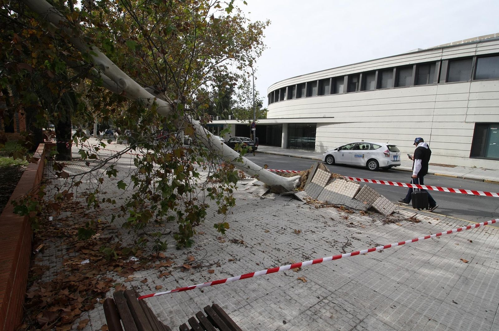 Imágenes del domingo 29 de octubre en Huelva