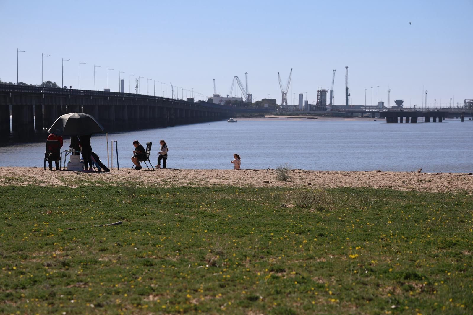 La Punta del Sebo "pintada" de verde tras las lluvias.