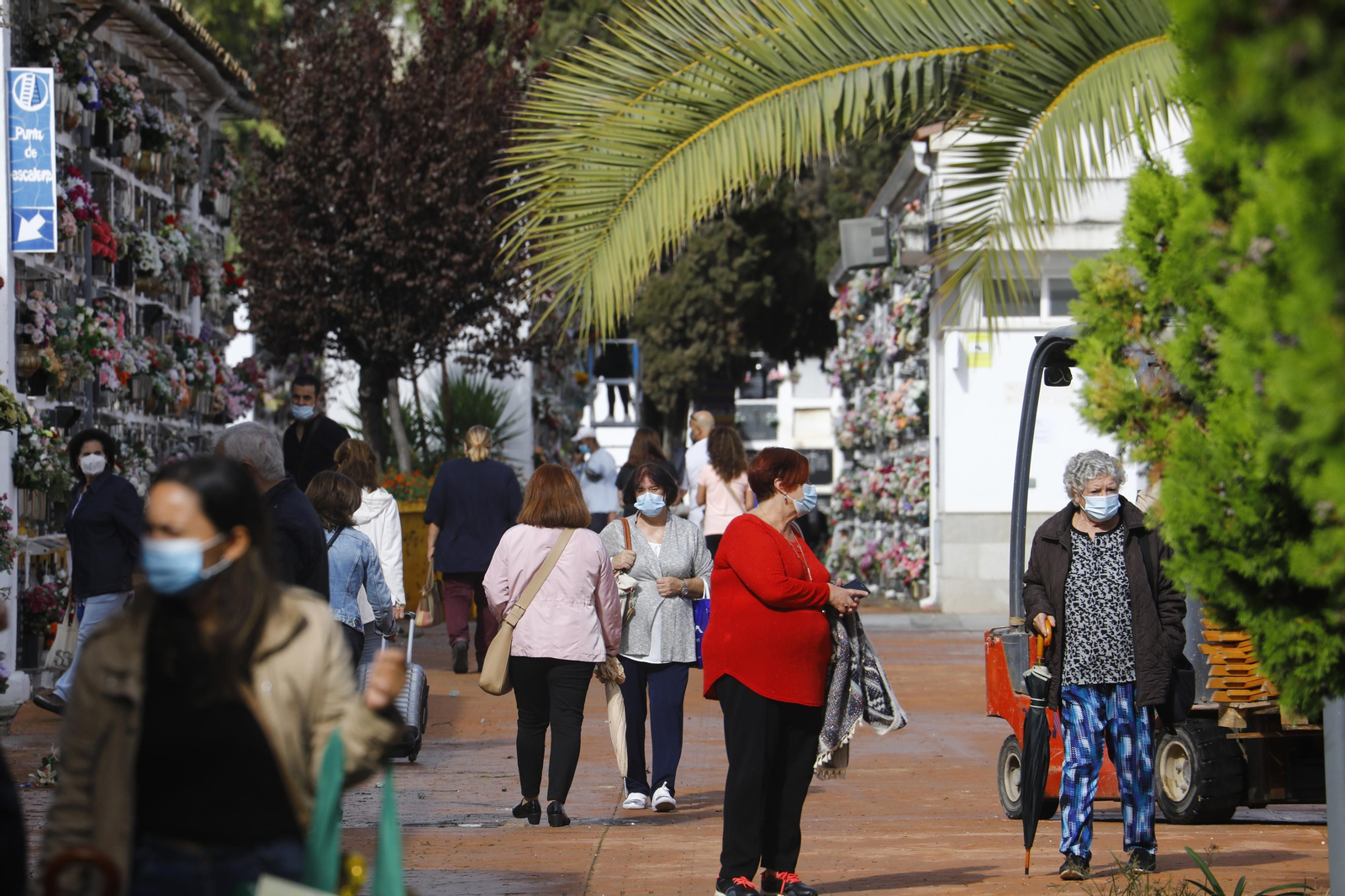 El Día de Todos los Santos de Córdoba, en fotografías