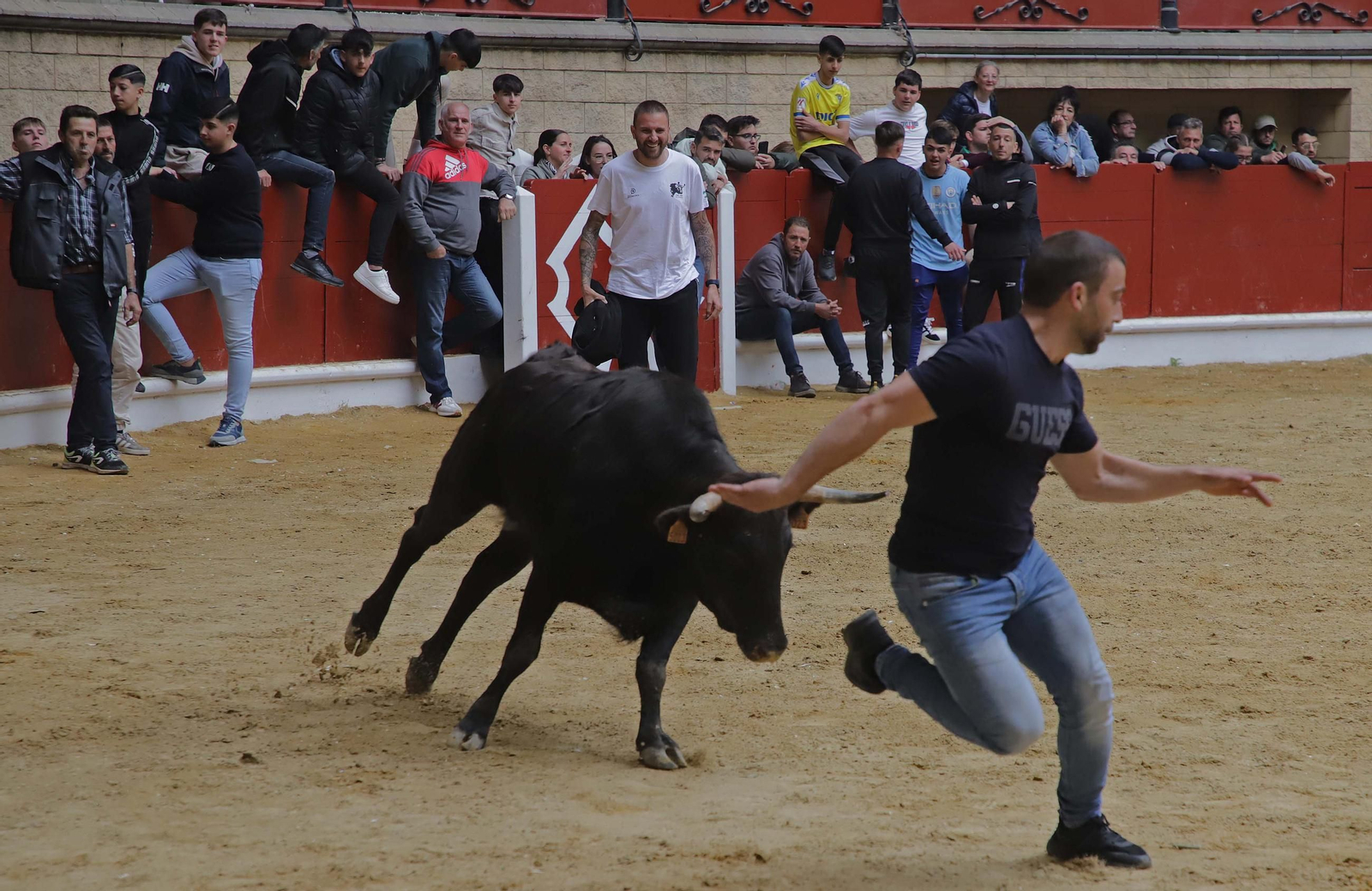 Fotos de los encierros del domingo del Toro Embolao en Los Barrios