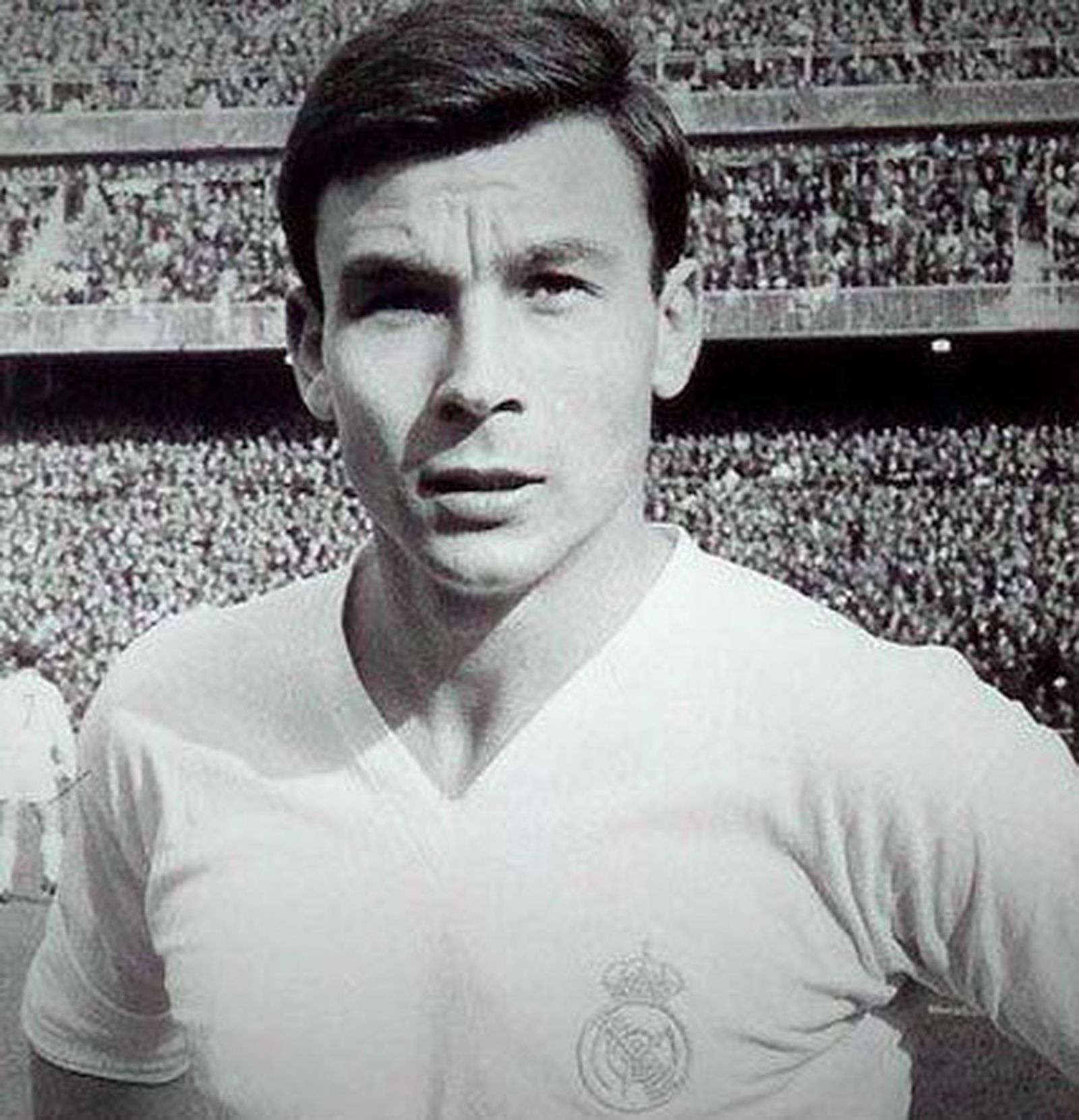 Muere Pedro de Felipe, jugador del Real Madrid entre 1964 y 1972