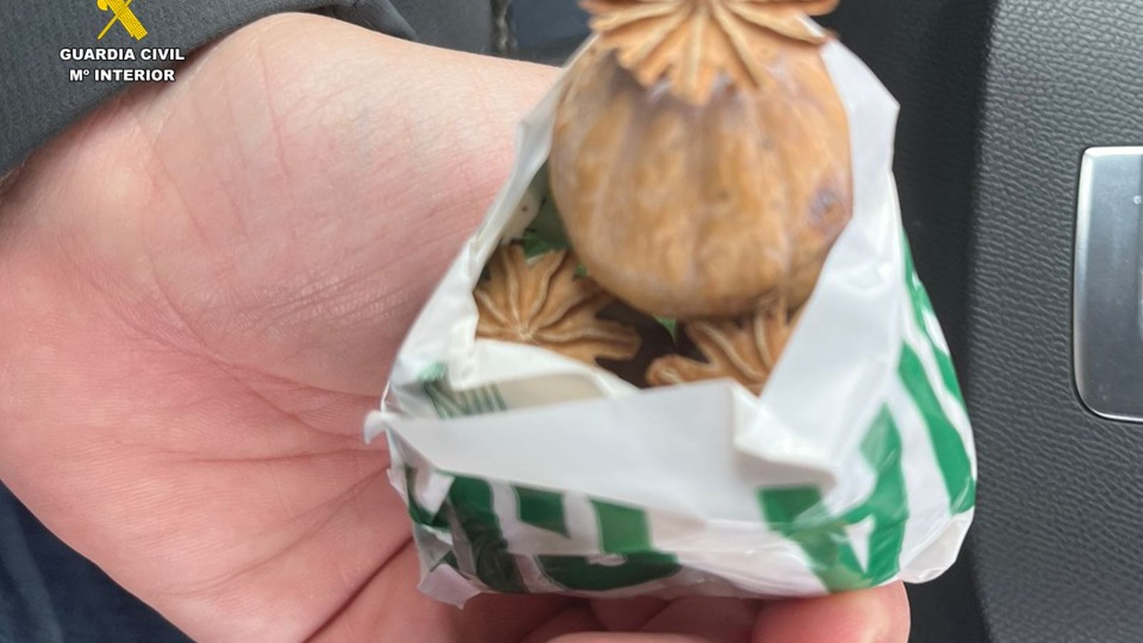 La Guardia Civil interviene 527 kilos de adormidera enviada a varios puntos de España y EEUU