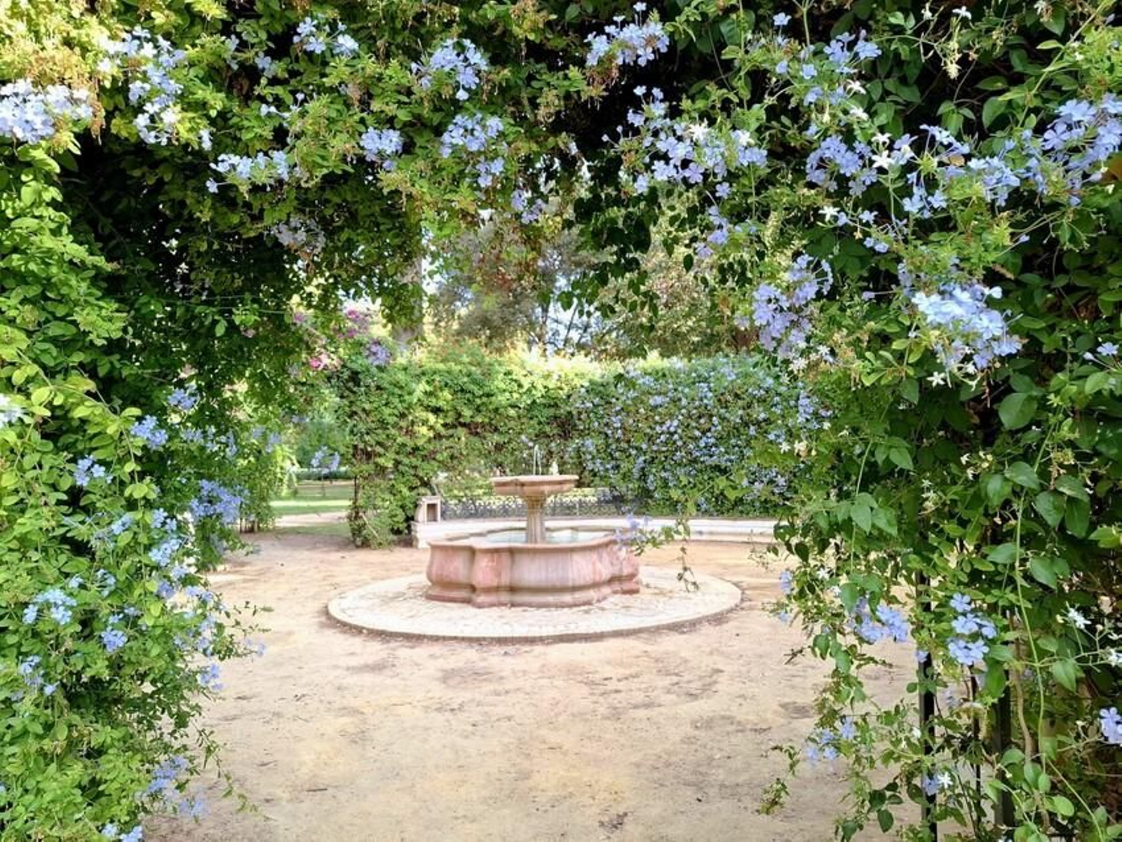 La celestina de los hermanos Machado