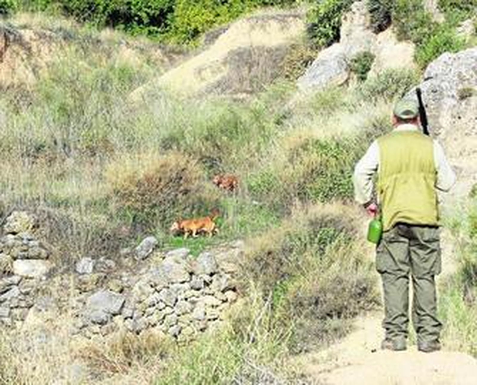 En El Puerto hay aproximadamente unos 3.000 cazadores con licencia.