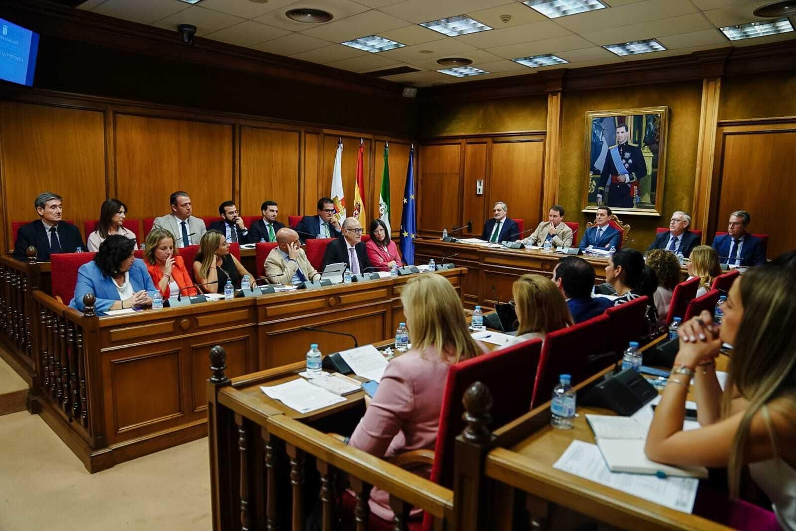 Momento de la sesión plenaria celebrada esta mañana.