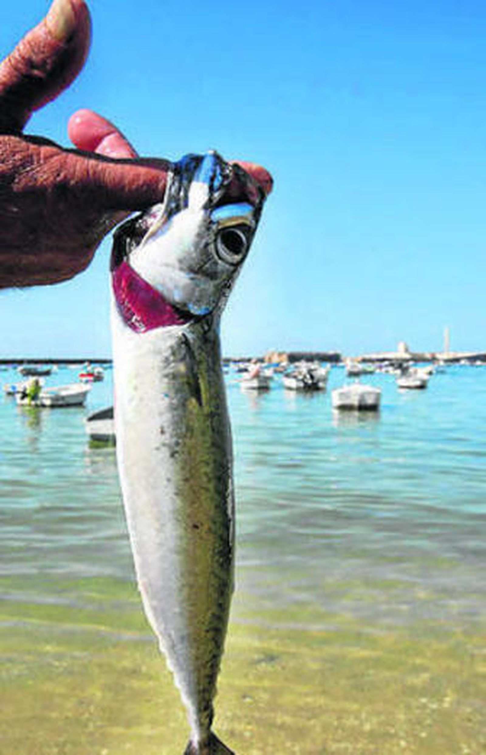 'Caballeando' en el Bar La Casapuerta