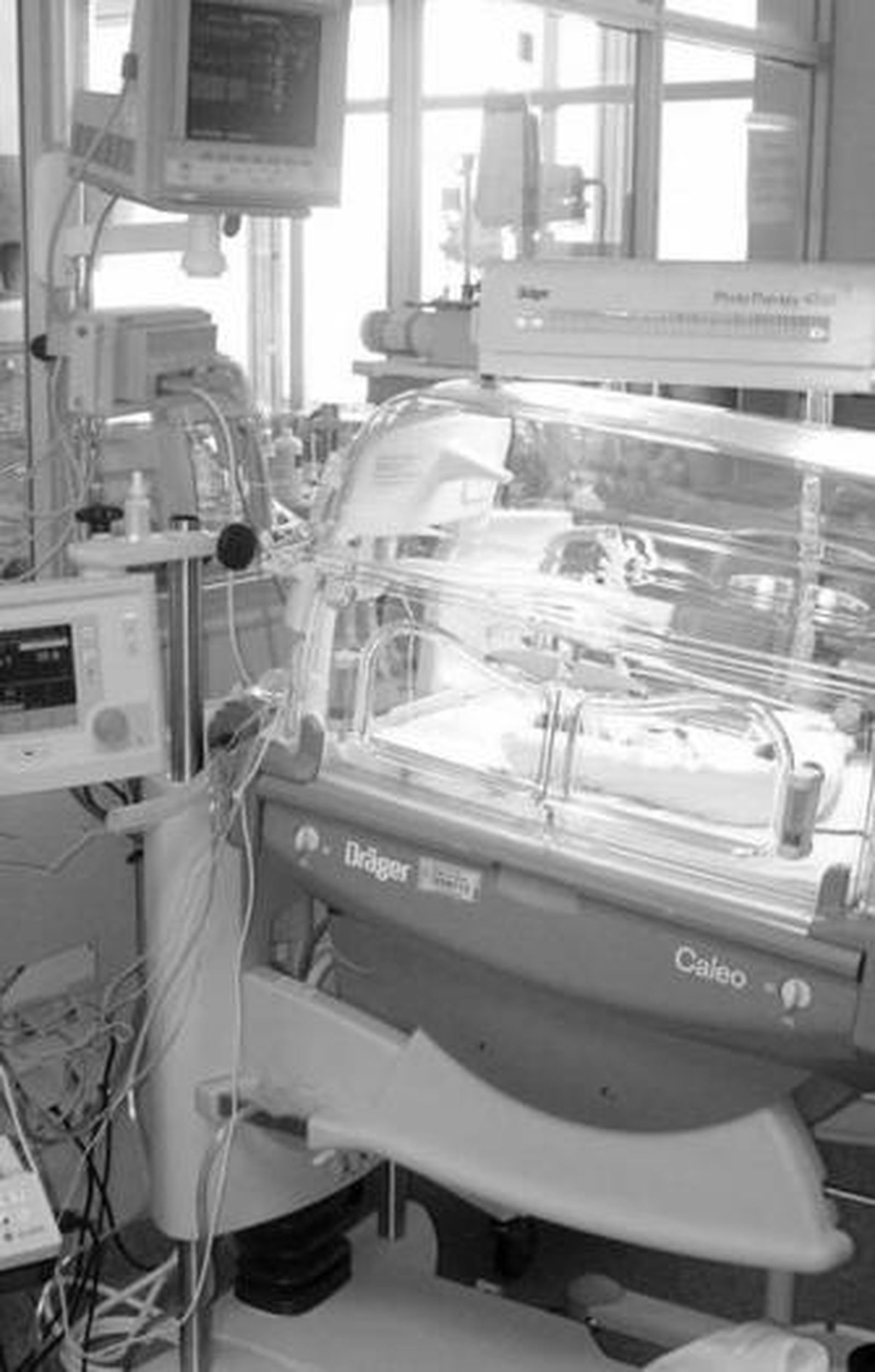 El control del dolor en neonatos es uno de los centros del congreso.